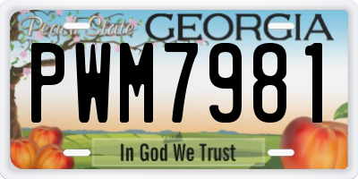 GA license plate PWM7981