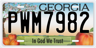 GA license plate PWM7982
