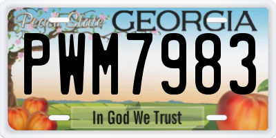 GA license plate PWM7983