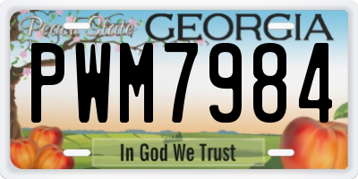 GA license plate PWM7984