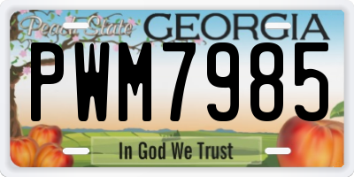 GA license plate PWM7985