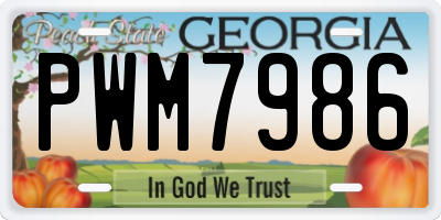 GA license plate PWM7986