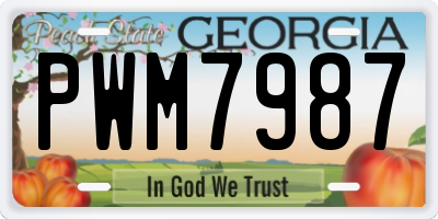 GA license plate PWM7987