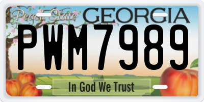 GA license plate PWM7989