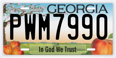 GA license plate PWM7990