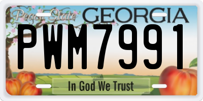 GA license plate PWM7991