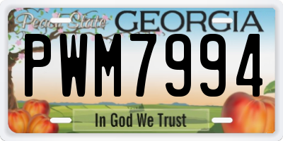GA license plate PWM7994