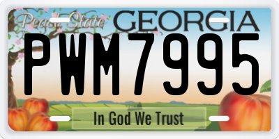 GA license plate PWM7995