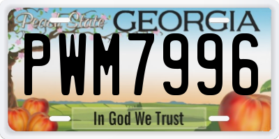 GA license plate PWM7996