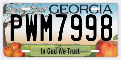 GA license plate PWM7998