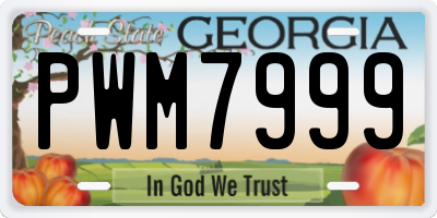 GA license plate PWM7999