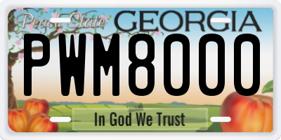 GA license plate PWM8000