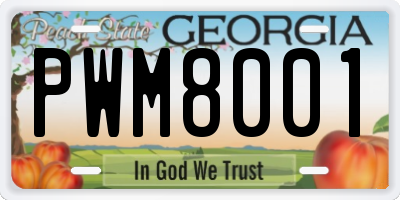 GA license plate PWM8001