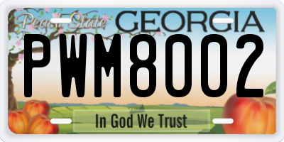 GA license plate PWM8002