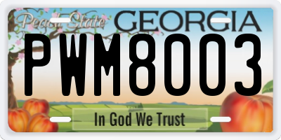 GA license plate PWM8003
