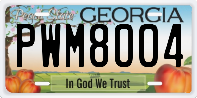 GA license plate PWM8004