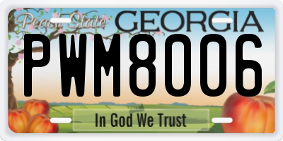 GA license plate PWM8006
