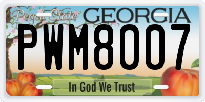 GA license plate PWM8007