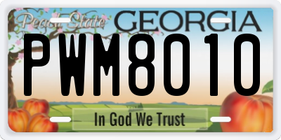 GA license plate PWM8010