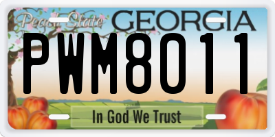 GA license plate PWM8011