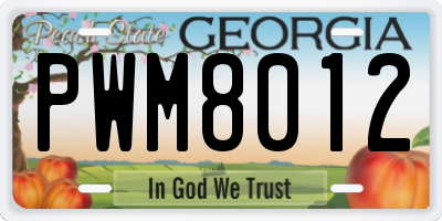 GA license plate PWM8012