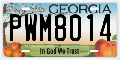 GA license plate PWM8014