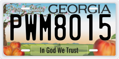 GA license plate PWM8015