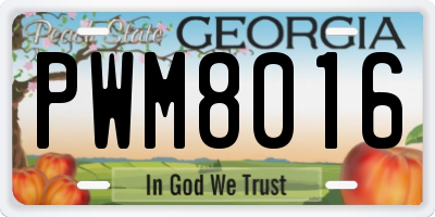 GA license plate PWM8016