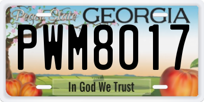 GA license plate PWM8017