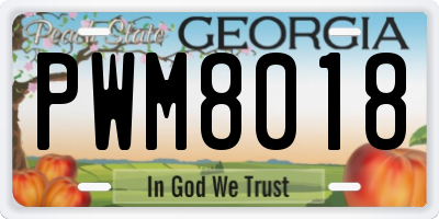GA license plate PWM8018