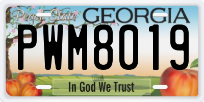 GA license plate PWM8019