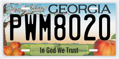 GA license plate PWM8020
