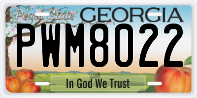 GA license plate PWM8022