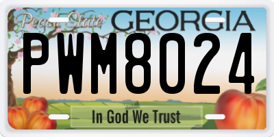 GA license plate PWM8024