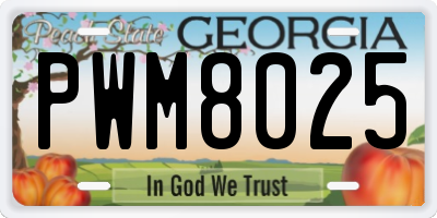 GA license plate PWM8025