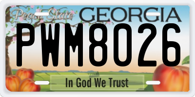 GA license plate PWM8026