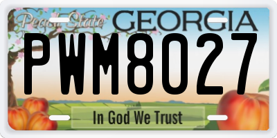 GA license plate PWM8027
