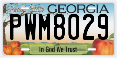 GA license plate PWM8029