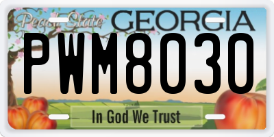 GA license plate PWM8030