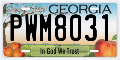 GA license plate PWM8031