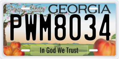 GA license plate PWM8034