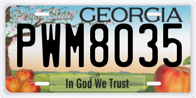 GA license plate PWM8035