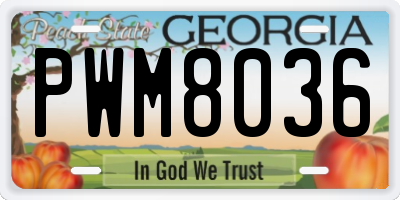 GA license plate PWM8036