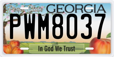 GA license plate PWM8037
