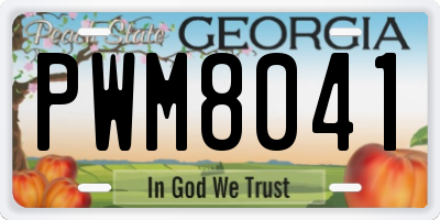 GA license plate PWM8041