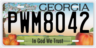 GA license plate PWM8042