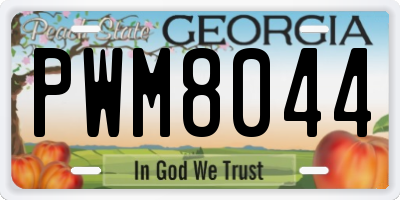 GA license plate PWM8044