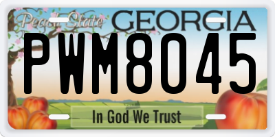 GA license plate PWM8045