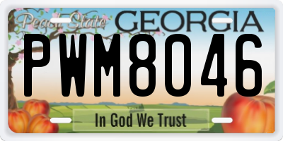 GA license plate PWM8046
