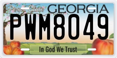 GA license plate PWM8049
